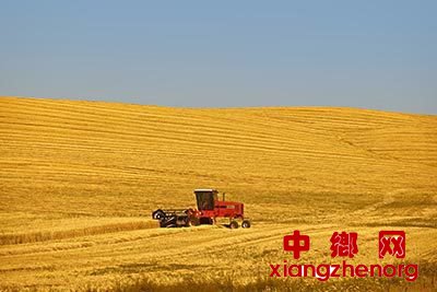 <b>手中有粮心不慌</b>