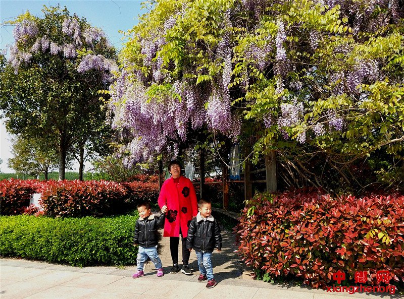 <b>村庄环境美 绘出新景象</b>