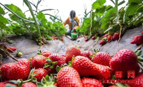 <b>立夏农事忙</b>