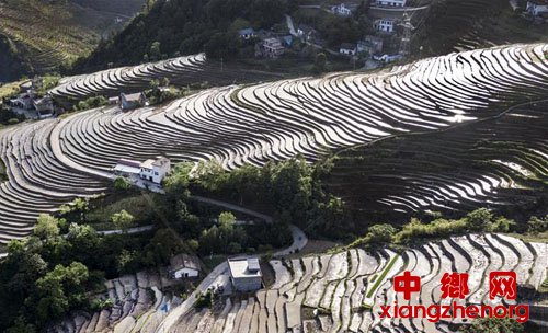 <b>陕西岚皋：插秧忙</b>