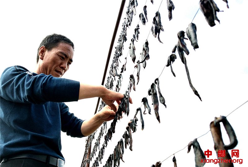 <b>山东郯城：农民“硬技术”孵蚂蟥“三得利”</b>