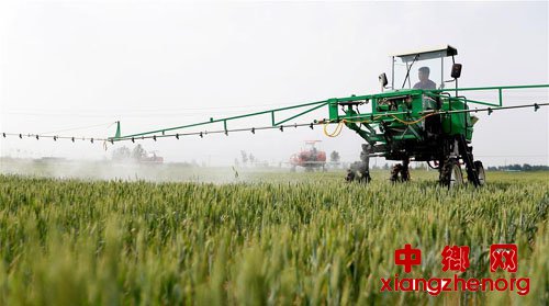<b>山东即墨：“田间保姆”管护小麦助丰收</b>