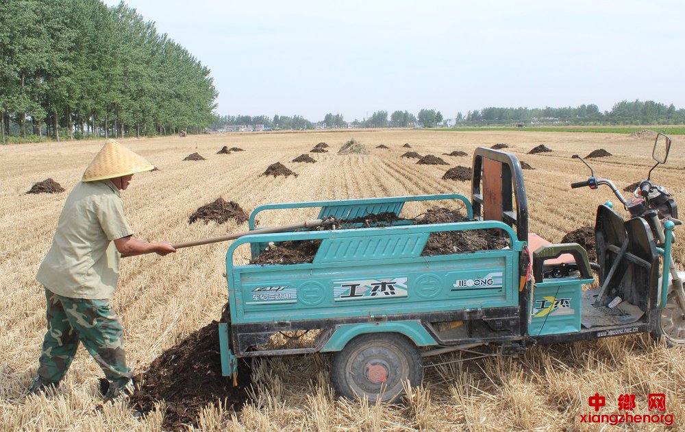 <b>安徽：田野又现农家肥</b>