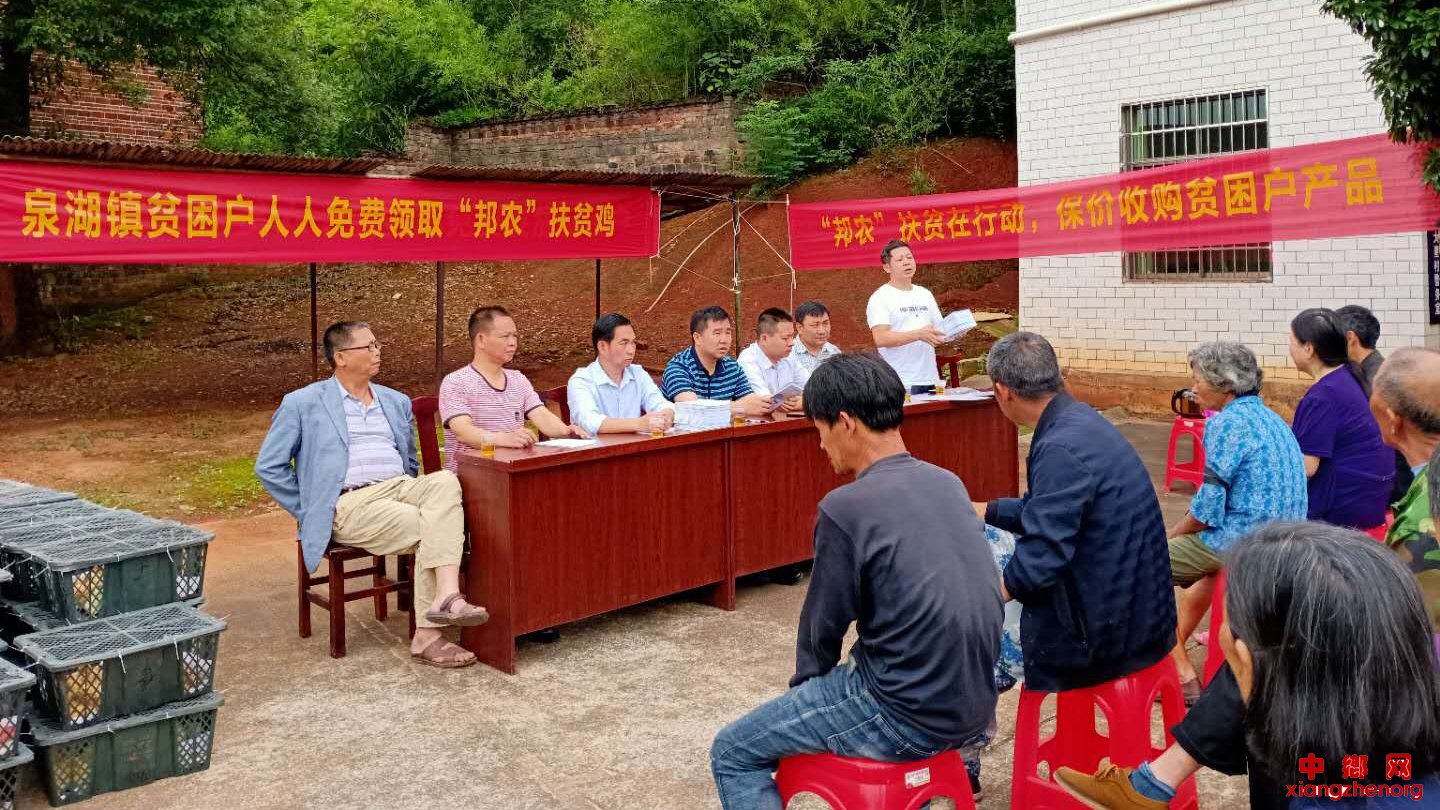 <b>湖南衡南：邦农合作社真“帮农”，6300只鸡苗免费送给贫困户</b>