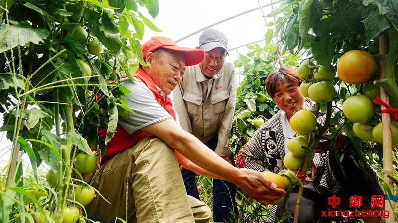 <b>安徽：阜阳颍东区农技人员送技术到田头</b>