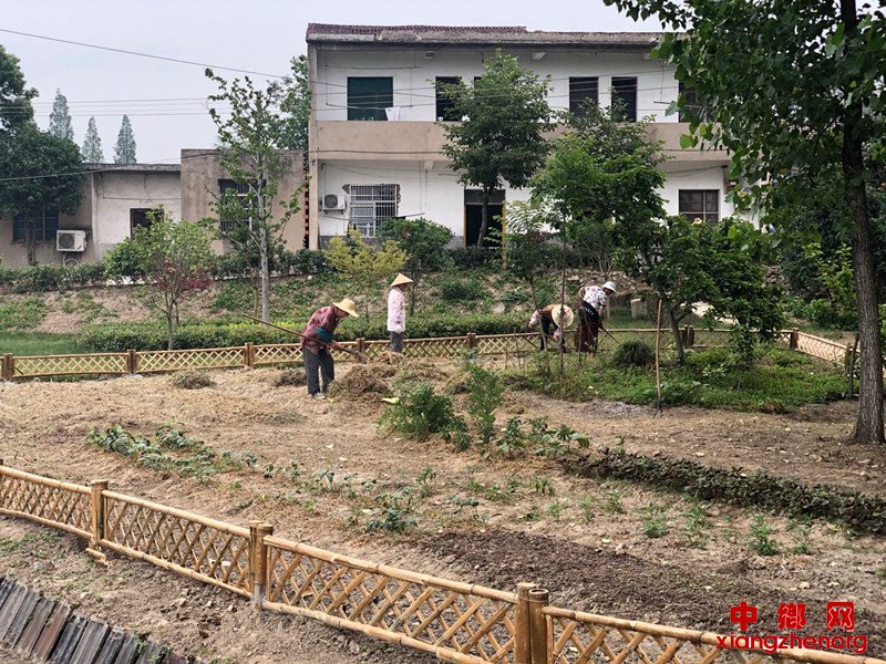 <b>安徽庐江郭河：加力整治人居环境 打造“四美”乡村</b>