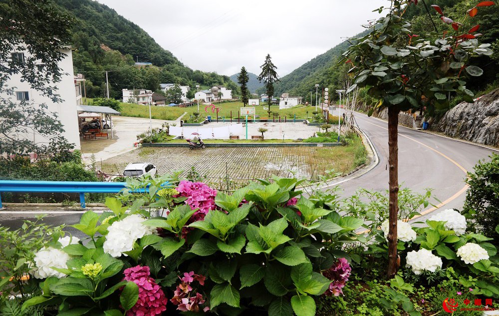 <b>重庆巫山骡坪大垭云中花谷别样美</b>