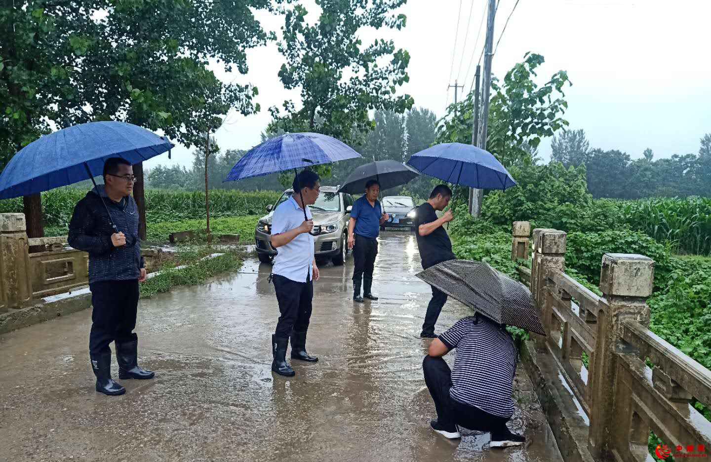 安徽：闻“汛”而动，魏岗镇纪委干部筑牢  防汛减灾“堤坝”