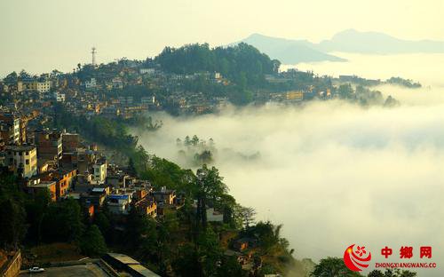 <b>云南红河发现国家一级保护植物滇南苏铁居群</b>
