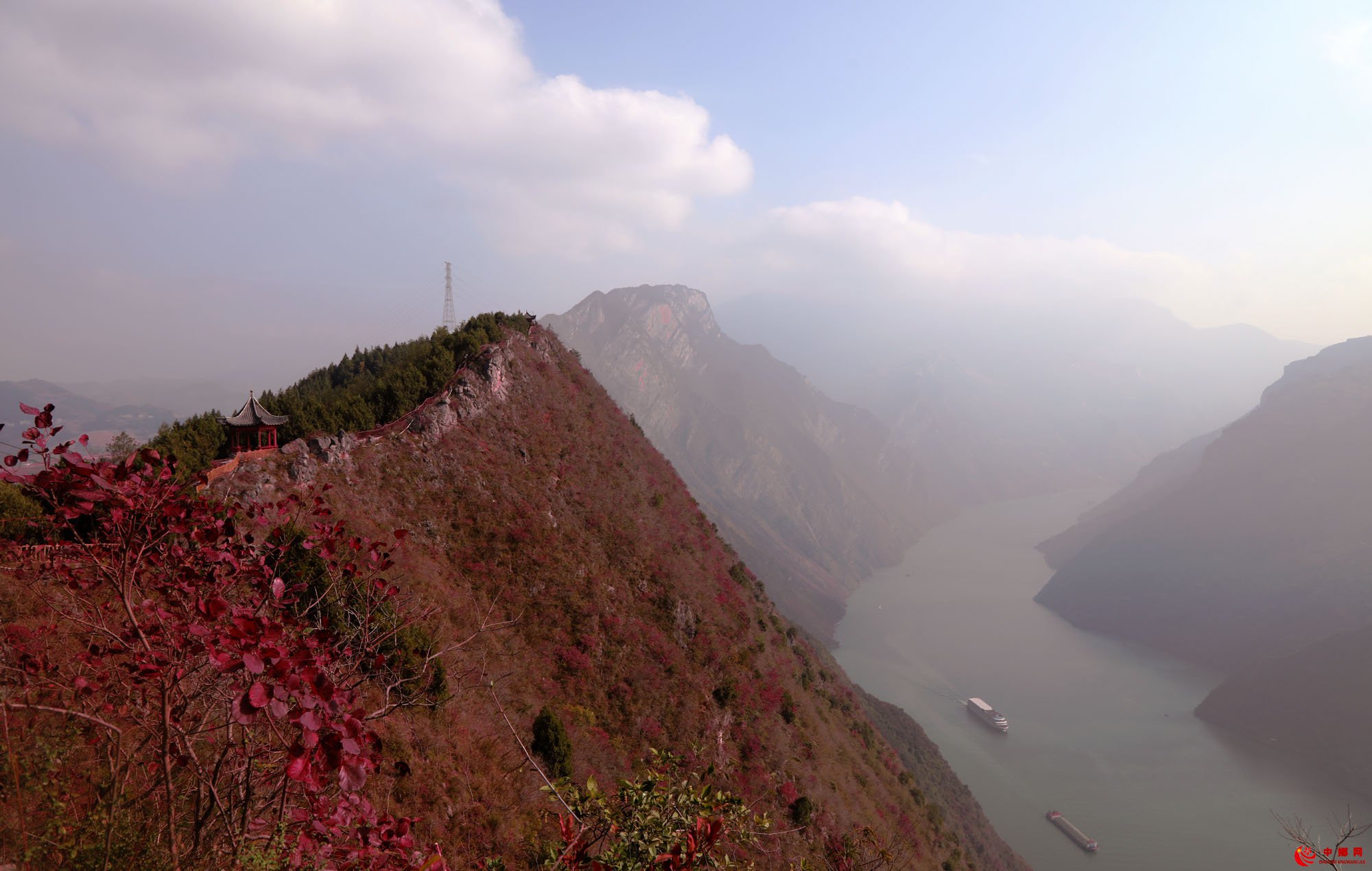 重庆巫山红叶似火焰  醉迷游客不知返