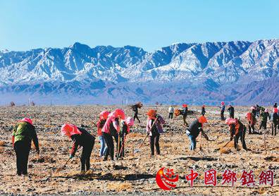 中国将建设国家储备林3600万亩以上