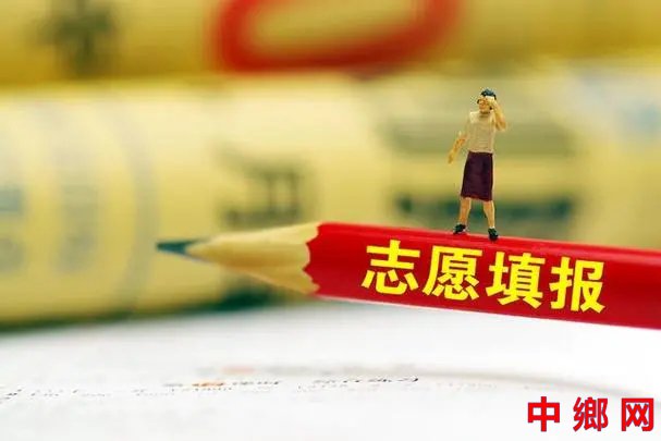 花几千元就能“拿证” 高考志愿填报市场乱象调