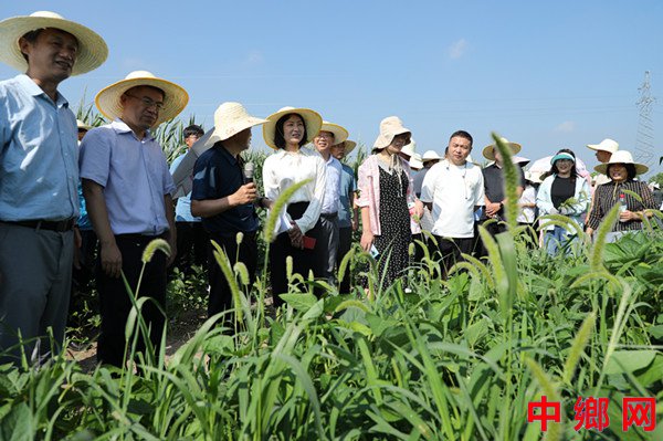 <b>安徽阜阳：培训会上学技术</b>