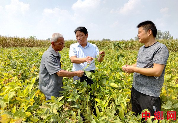 安徽阜阳：科技特派员助力乡村振兴