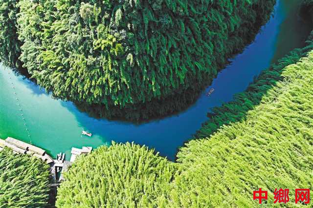 重庆彭水：畅游竹海 乐享生态美