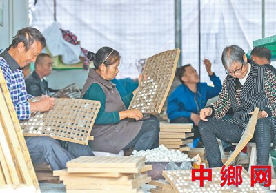 蚕桑产业 助农增收