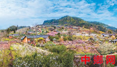 四川丹棱：幸福古村的幸福“密码