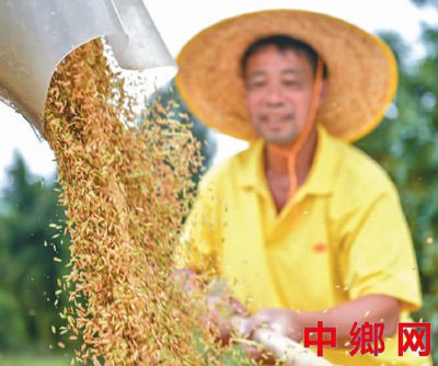 中国粮食生产再获丰收