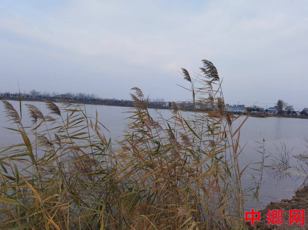 <b>安徽怀远兰桥镇：“污水塘”变美景  黑臭沟“水常清”</b>