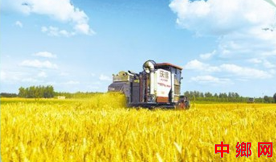 <b>科技下田“三夏”新</b>