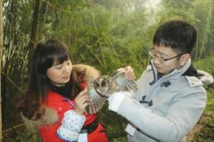 <b>泸州纳溪：猫头鹰夜闯民宅“歇脚”</b>