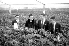 <b>创新农村金融服务解难题</b>