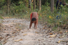 <b>泰国:15岁男孩从小与狗为伍 只会用四肢行走</b>