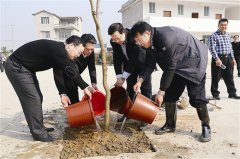 <b>蒙山：打响生态招牌 激发乡村活力</b>