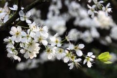 <b>8个最适合早春3月旅行的地方</b>