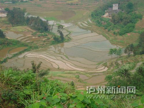 五仙山山下梯田