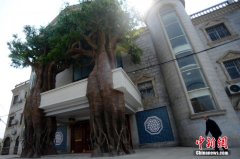 <b>湖南现“古树城堡” 门口两棵15米高“假古树”</b>