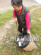 <b>曝光台：赏景玩烧烤 留一地垃圾</b>