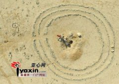<b>新疆吐鲁番火焰山现200多个神秘“怪石圈”</b>
