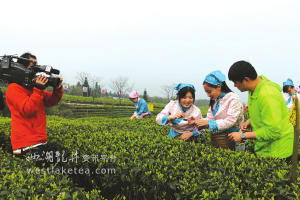 泸州纳溪跻身四川茶产业十强 