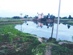 <b>广安女子出轨被丈夫抓现行 推两幼子入河</b>