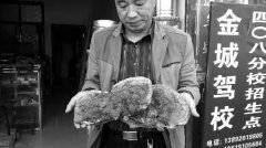 <b>陕西男子路边“方便”时意外采到4斤重灵芝</b>