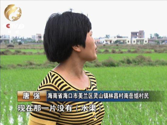 村民唐强家的十亩地中有五亩撂荒。原因之一是现在没有了水渠，无法灌溉。