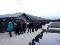 <b>泸州市合江县参宝镇组队考察泥鳅养殖项目</b>