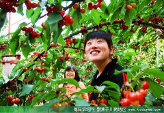 <b>四川涉农产业发展良好 带动农村居民家庭增收</b>