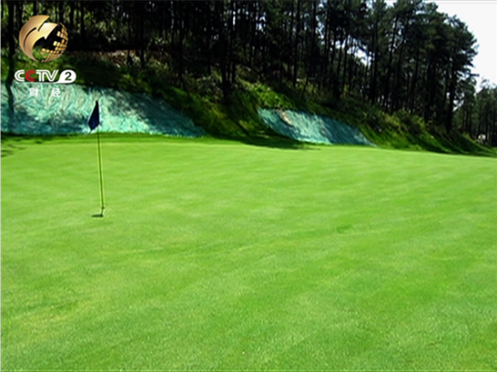 4月10日 记者在贵龙国际养生中心高尔夫球场内看到 球场的草皮绿油油的 几乎看不到杂草 一个个果岭修剪得整整齐齐