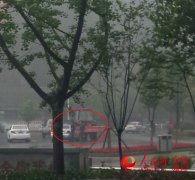 <b>安徽一农用车与奔驰相撞 车主怕赔偿下跪道歉</b>