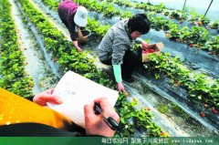 <b>四川农产品质量安全追溯体系 初具雏形</b>