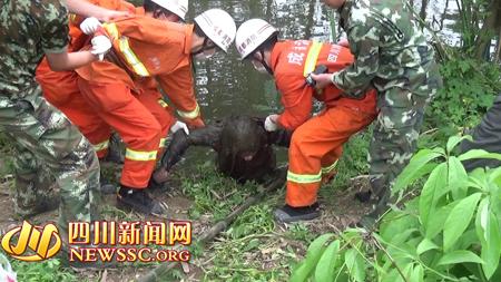 邛崃同一河道一天之内打捞起两具男女尸体(图)