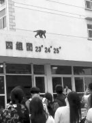 <b>猕猴闯进大学 拦路抢食物、“偷窥”女生宿舍</b>