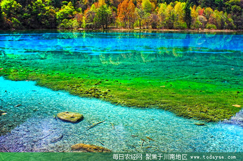四川九寨沟.jpg