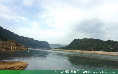 长江国际欢乐海优良水域.jpg