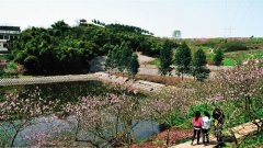 <b>四川新型城镇化规划 “新”在哪</b>