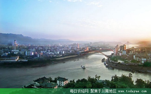 宜宾长江段.jpg