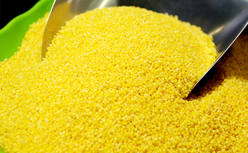 育种人的坚守与传承(上)