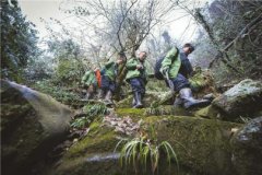 <b>四川宜宾：老君山的守护神 大熊猫为伴和熊捉迷藏</b>